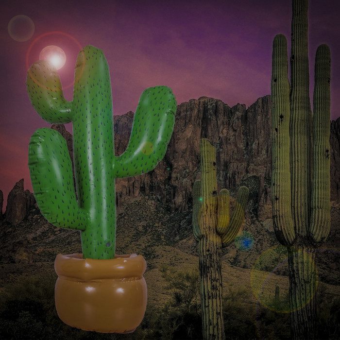 Nadmuchiwany Kaktus