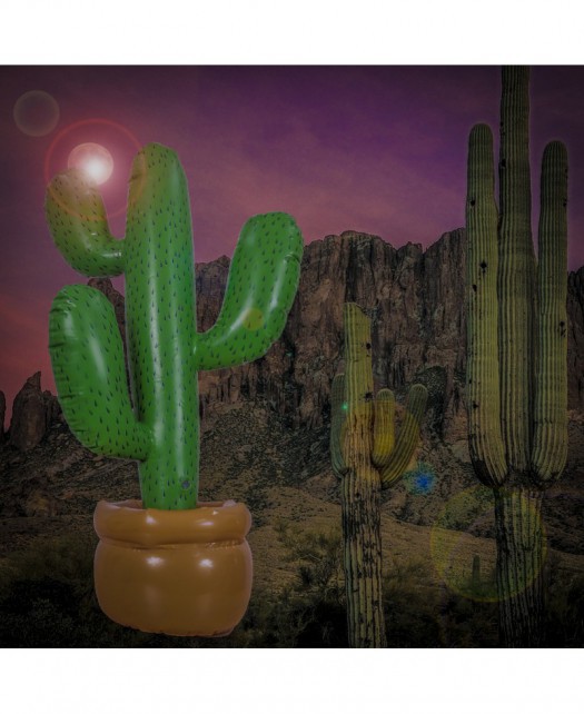 Nadmuchiwany Kaktus