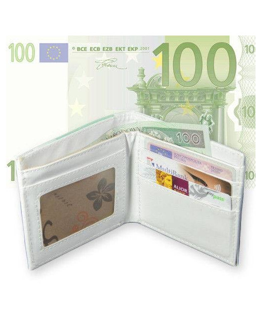 Portfel 100 Euro